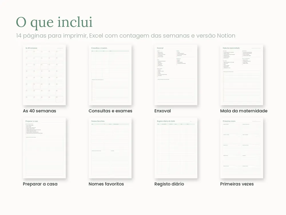 Baby & Pregnancy Planner: What's included